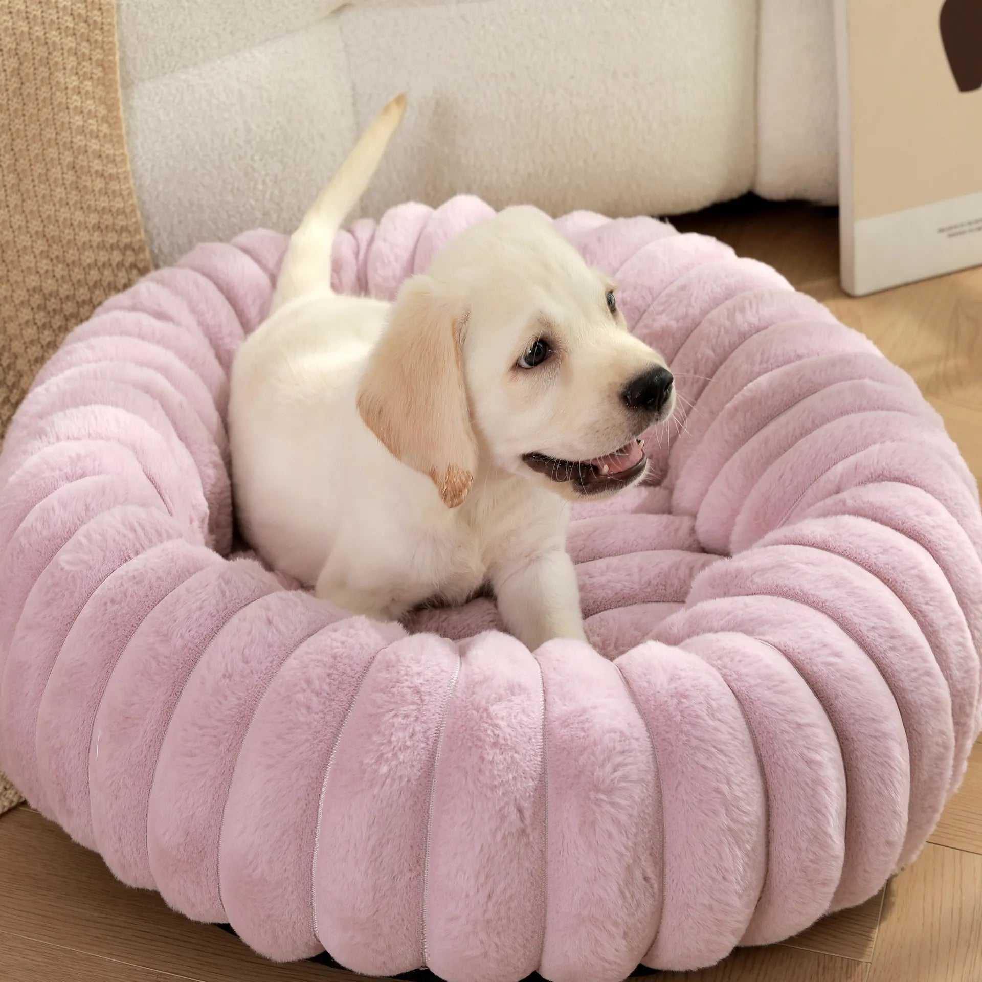Round Plush Pet Bed — Perfect for Cats & Small Dogs