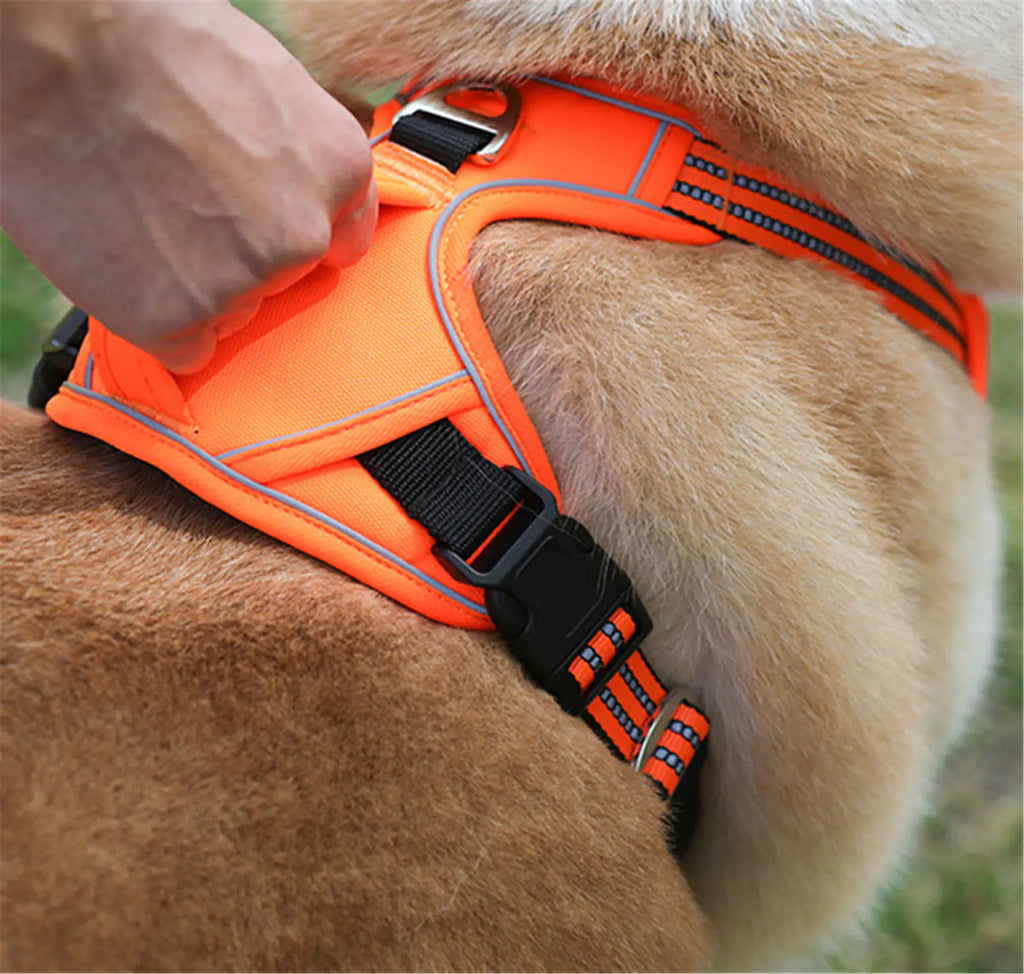 Pet Harness Durable and Waterproof