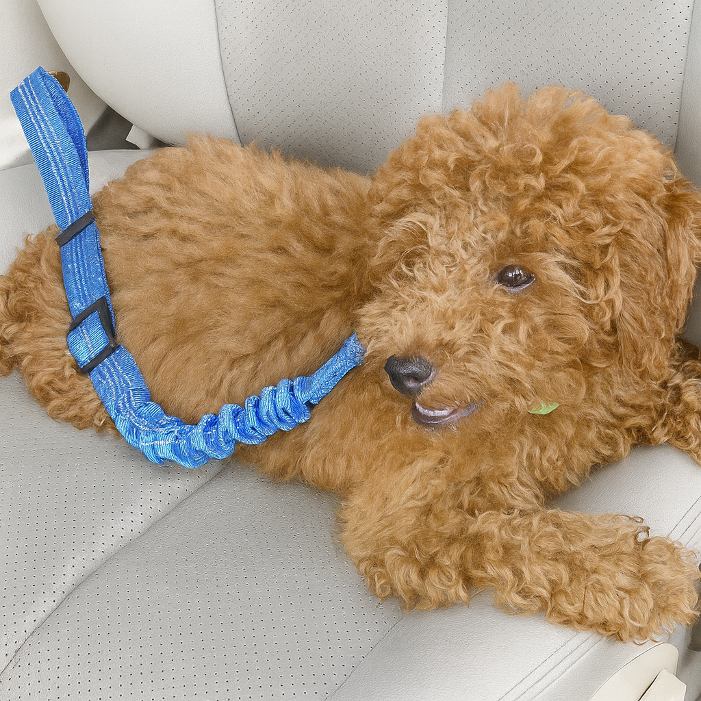 Dog Car Seat Belt Traction Rope