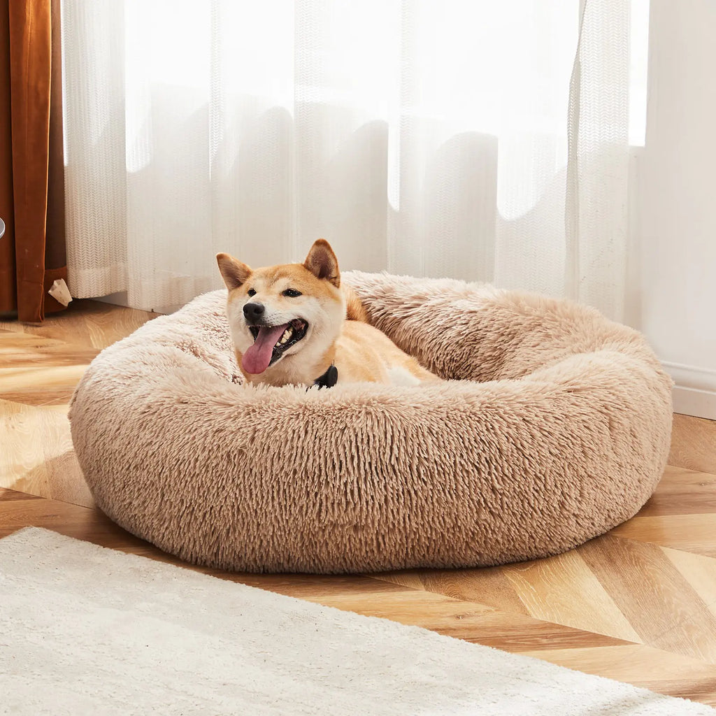 Cloud Dog bed aldi deluxe