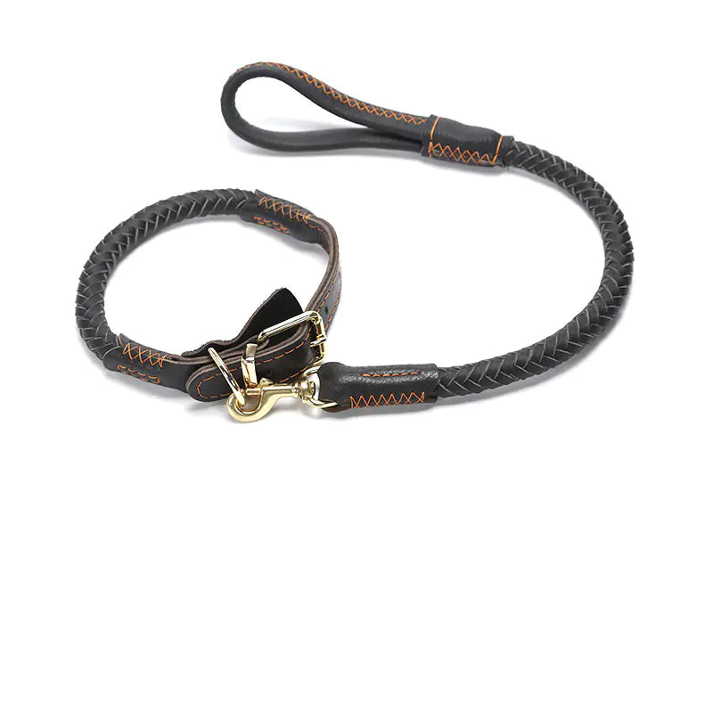 Dog Leash leather for Medium and Large Breeds (also in Bundle)
