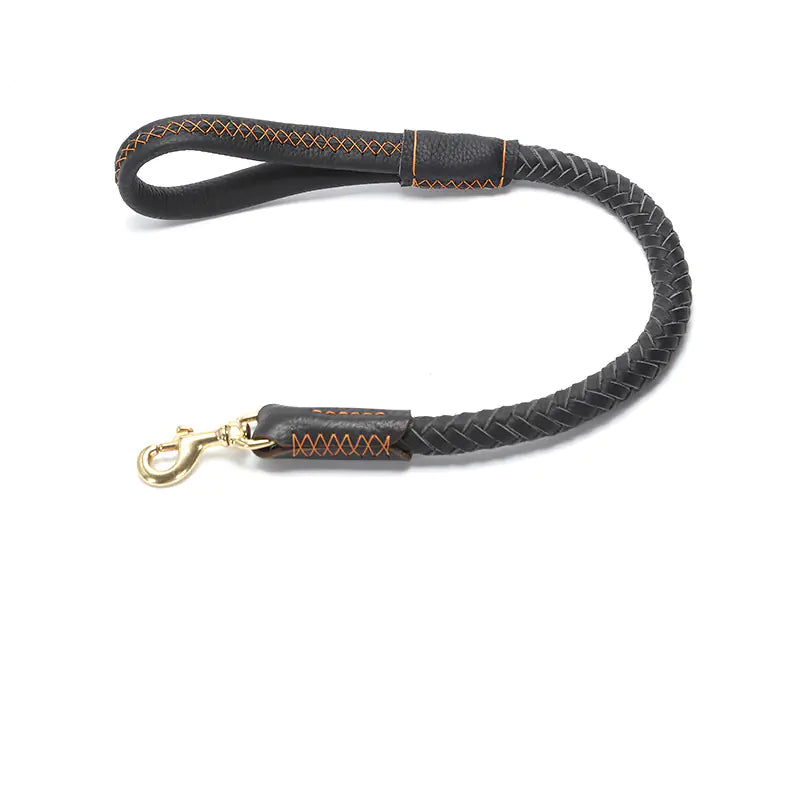 Dog Leash leather for Medium and Large Breeds (also in Bundle)