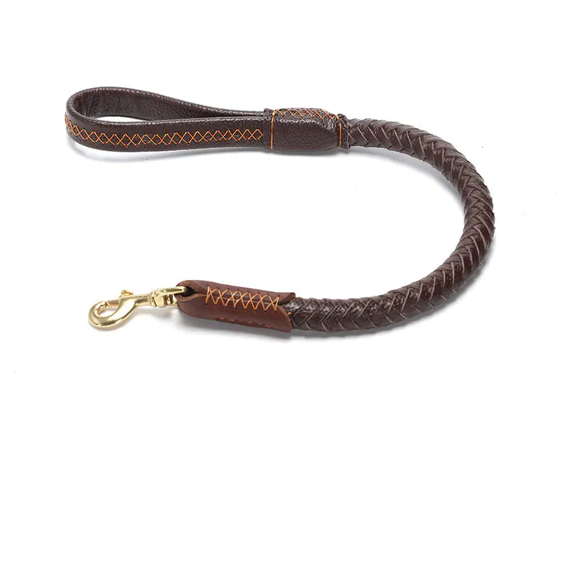 Dog Leash leather for Medium and Large Breeds (also in Bundle)