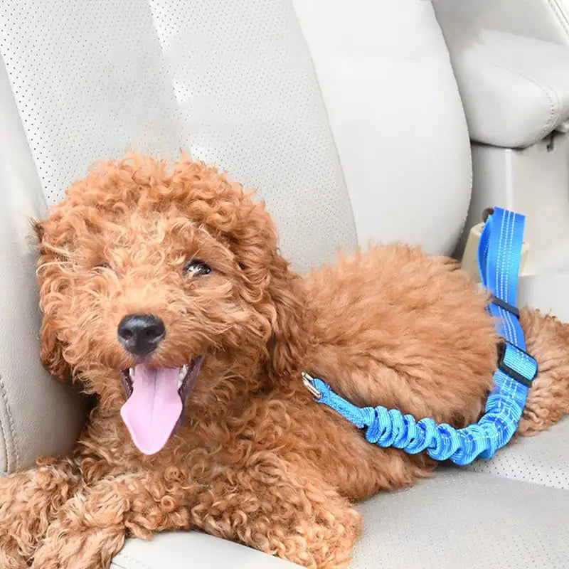 Dog Car Seat Belt Traction Rope