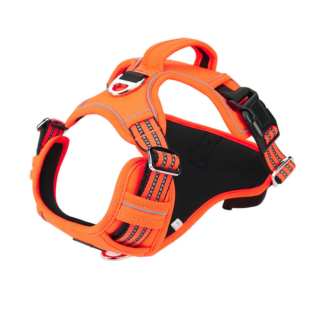 Pet Harness Durable and Waterproof