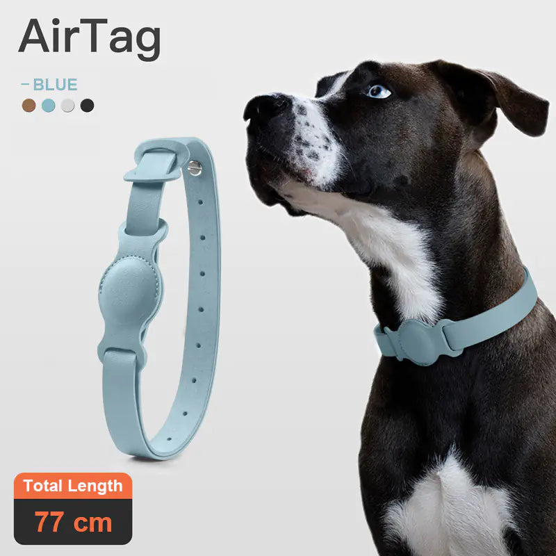 Leather Pet Collar (Air Tag)